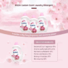 Eco Friendly Laundry Detergent Liquid Wholesale Bulk IKEDA Like Downy - Image 3